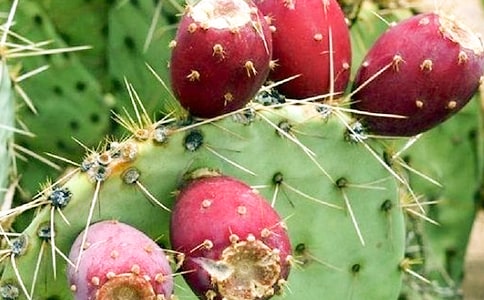 [��]�P(gu��n)�������Ƶ�����15ƪ