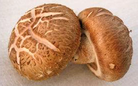 晨起喝香菇滑雞粥 營養(yǎng)更全面