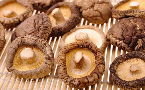 �㹽��������ô���ó���