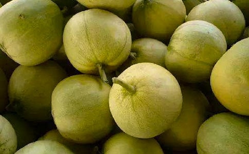 香瓜作文(通用25篇)