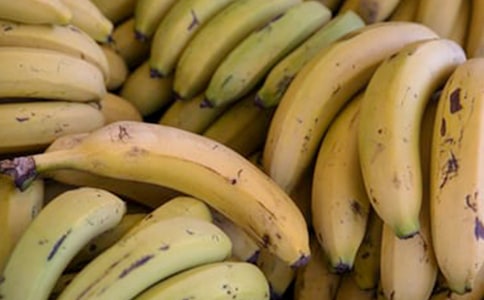 《香蕉變變變》教案