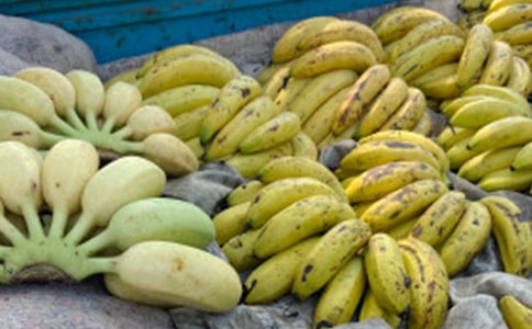 һ��ɸ��㽶�p�ɳԳ����Լ��w