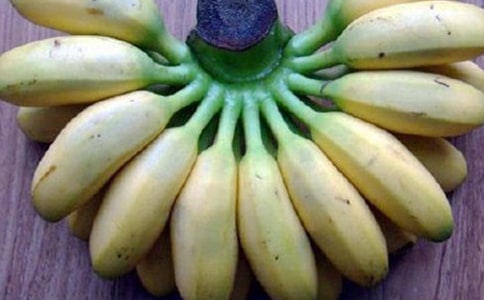 ?�������g���Գ��㽶�Ć���