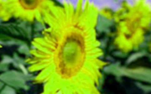 �P(gu��n)�����տ������ģ�ͨ��3ƪ��