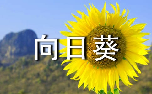 有關(guān)于向日葵的作文(精選24篇)