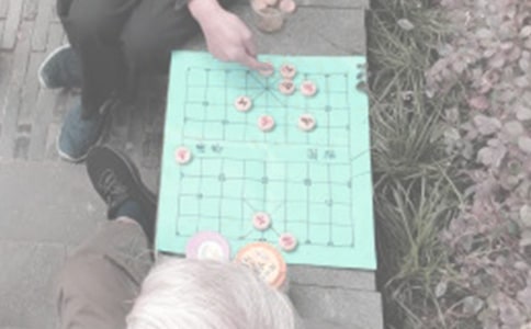 【合集】下象棋作文