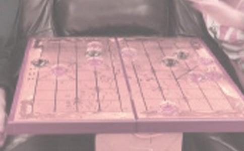 關(guān)于下象棋日記合集六篇