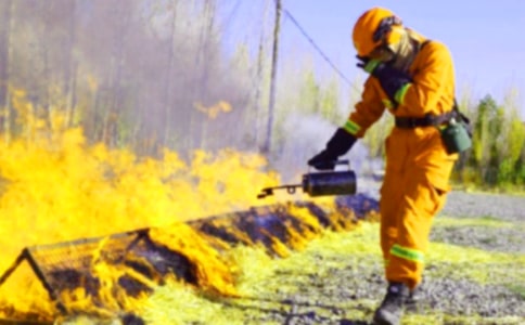 �����T�������ݾ��ĵ��w��