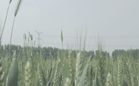 �茑�ո�С���ă�(y��u)������