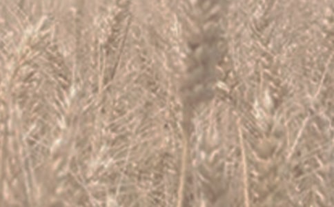 С�����^����ӛ50��