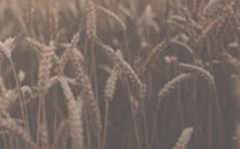 С�����L�^����ӛ