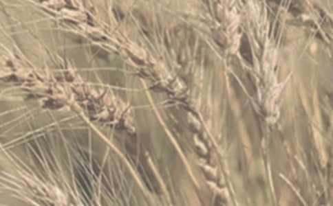 �茑����С���S�յĺ��̾��ӣ����x170�䣩