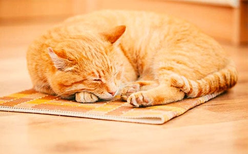 ����(sh��)�á�С؈С�W(xu��)����300���\����ƪ