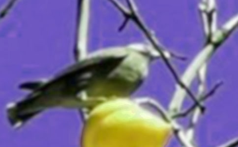 �а����g(sh��)С�B(ni��o)�Ę�(l��)�@�̰����\3ƪ