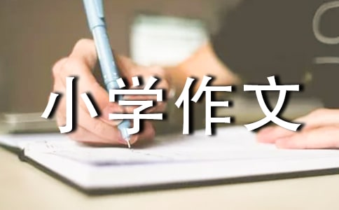 城市角落的他們小學(xué)作文