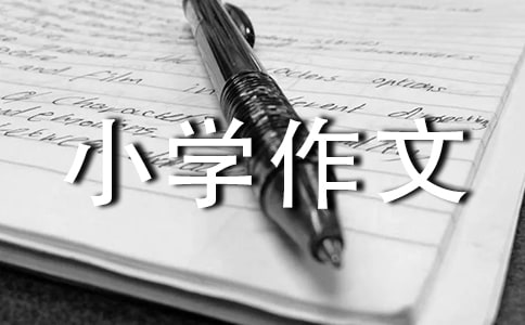 我的姥姥小學(xué)作文350字