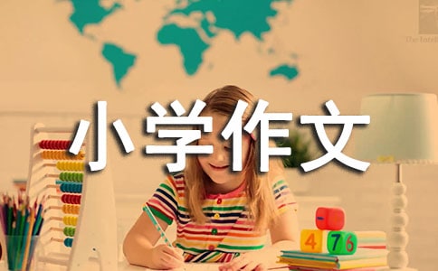 生活中的啟示小學(xué)作文