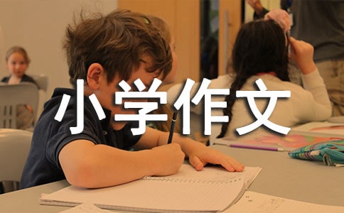 【精華】我的班級(jí)小學(xué)作文集合九篇