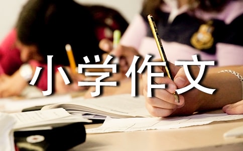 頤和園導(dǎo)游詞小學(xué)作文