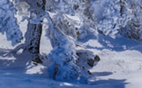 小雪花幼兒園中班音樂教案