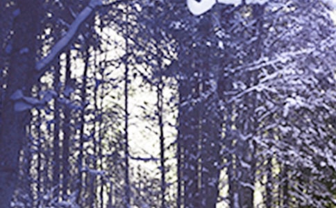 幼兒園大班小雪教案15篇