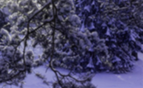 二十四節(jié)氣小雪活動(dòng)方案