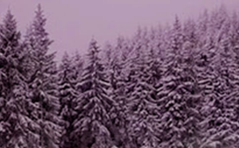 �׃��@����Сѩ���̰������x12ƪ��