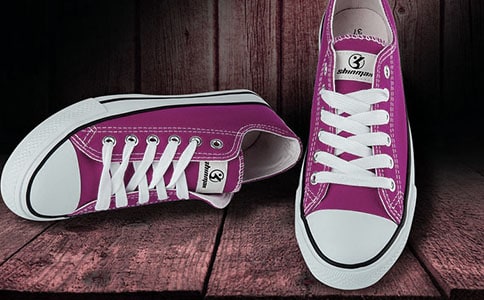 未來(lái)的鞋子