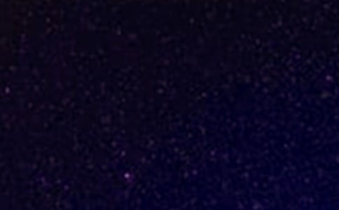 夏夜的星空作文