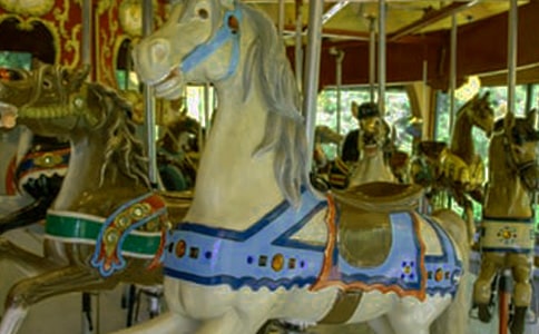 奇妙的旋轉(zhuǎn)木馬之旅作文600字