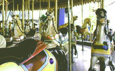 ���L�^���е����D(zhu��n)ľ�R����