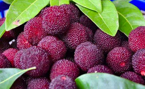 ���Ґ۹��l(xi��ng)�ė�÷���̰�