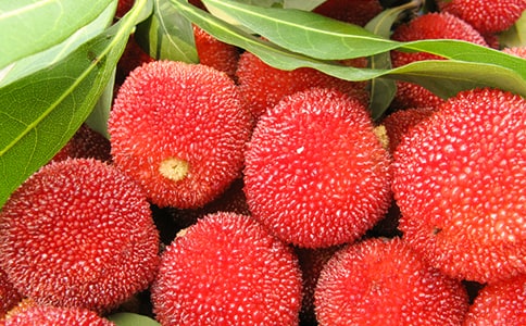 ���l(xi��ng)��÷����