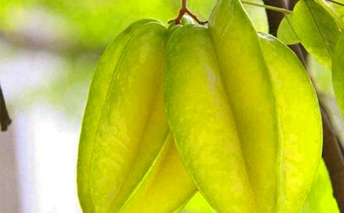 �����x���������ҡ��̰�