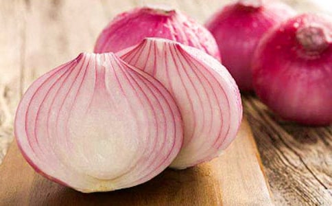 洋蔥頭歷險記讀后感范文(3篇)