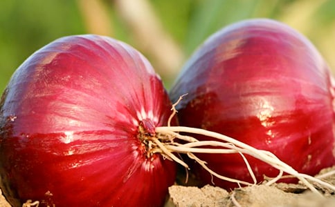 ���[����ӛ