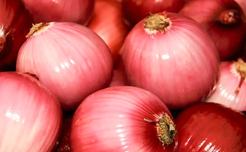 ���[�^�v�U(xi��n)ӛ���x���