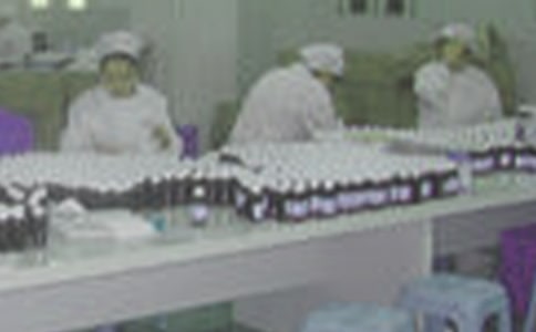 藥廠員工工作總結