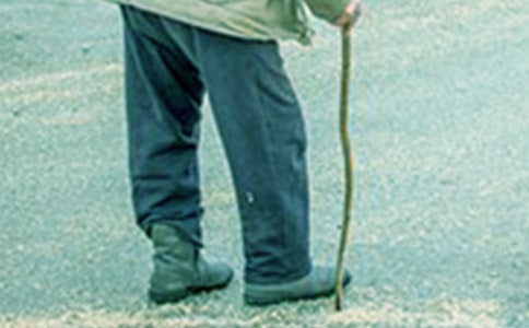 �������댦���fС�W(xu��)����