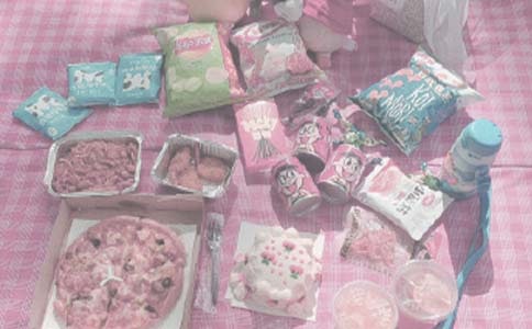 關(guān)于野餐的作文(集合5篇)