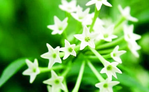 �P(gu��n)��ҹ��������ķ���