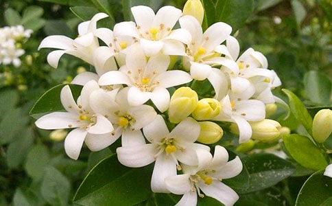 �\�\����ҹ��(l��i)�マ(y��u)������