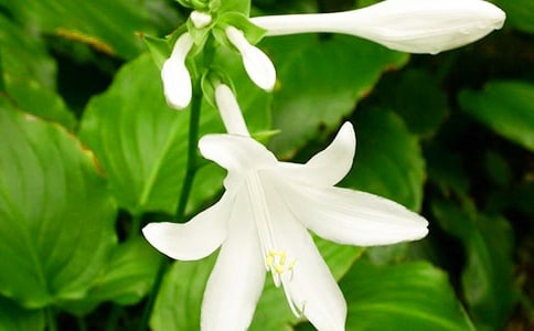 (ͨ��)ҹ��������11ƪ