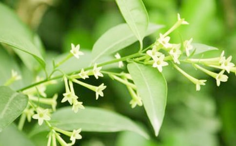 �(q��)�õĻ���ֲ�ҹ��(l��i)��