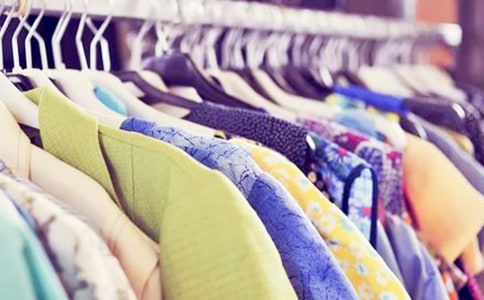 鵪鶉蛋穿了橙子的衣服(打一植物)