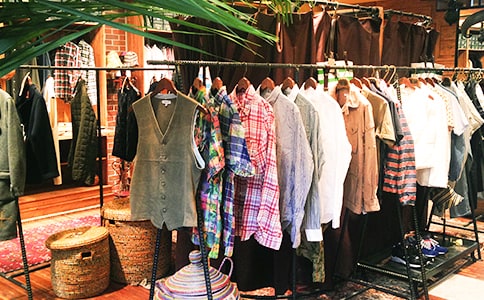 小班美術(shù)棉簽畫(huà)教案《毛毛蟲(chóng)的衣服》