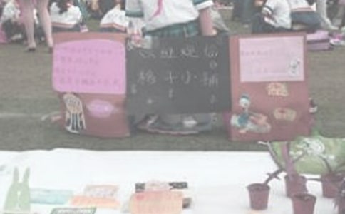 難忘的愛心義賣作文