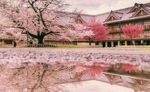 �p�ѻ���ӛ