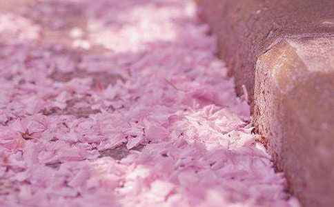 �茑�ѻ��ă�(y��u)������13ƪ