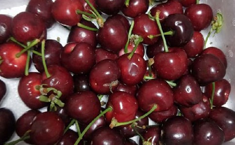 關(guān)于櫻桃的作文